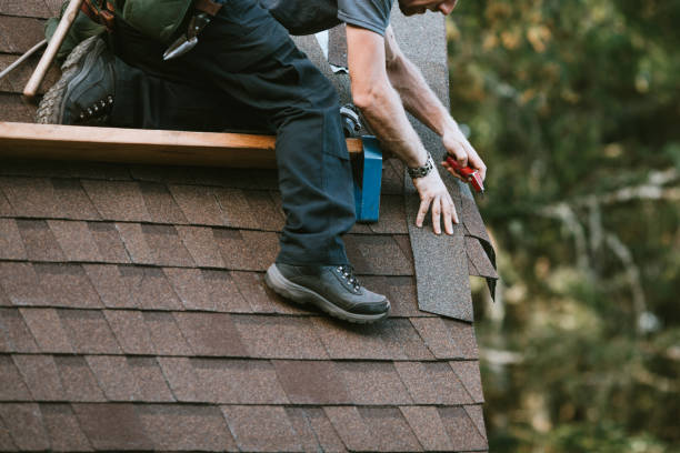 Best Roof Gutter Cleaning  in Bodfish, CA