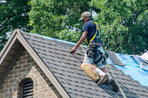 Roof Gutter Cleaning in Bodfish, CA
